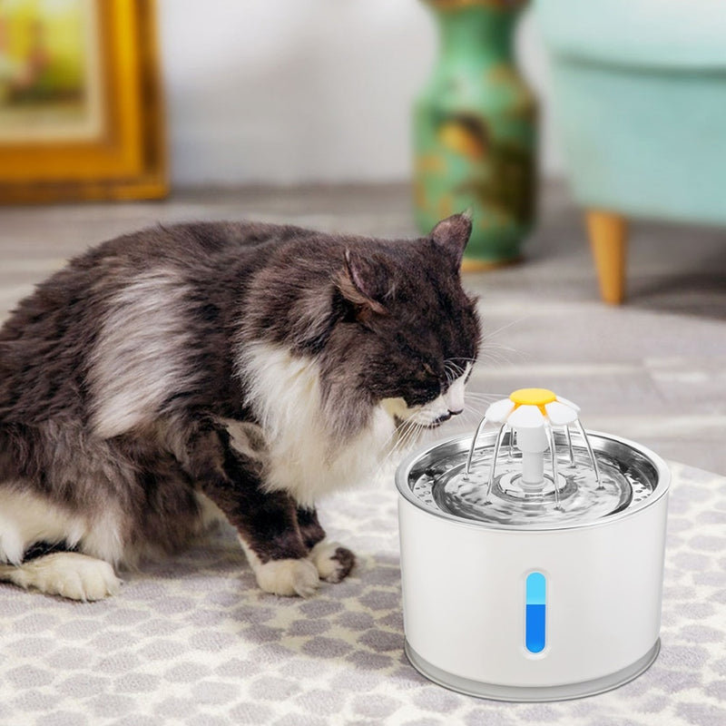 Fonte de água para gatos e cachorrinhos pequenos