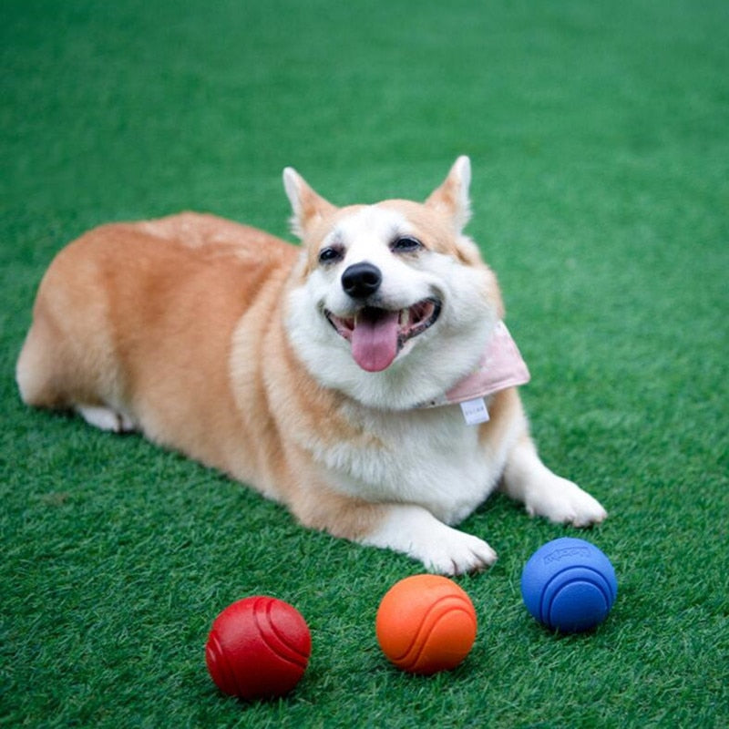 Bola mastigável para cães