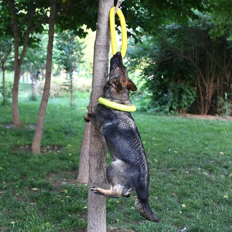 Anel de borracha para cachorro