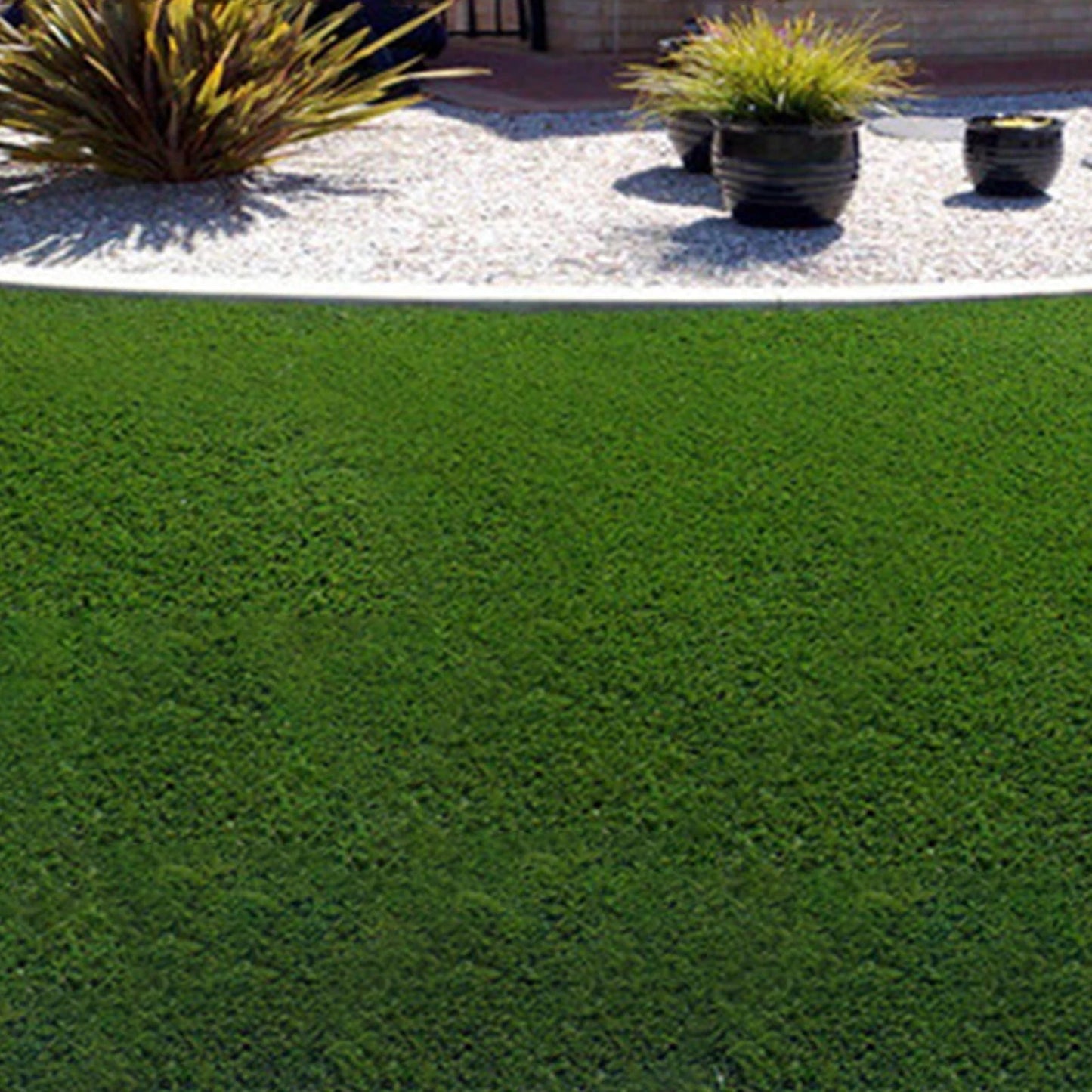 Tapete de Semente de Grama – Cultivo Rápido e Prático para Jardins e Paisagismo - Utyl